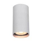 Rilok lampa sufitowa 1xGU10 aluminium CLN-83920-S-ALU