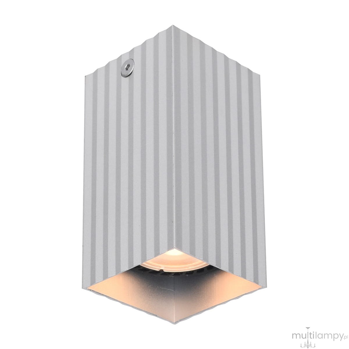 Lampa sufitowa Tecno 1xGU10 w kolorze aluminium, o prostokątnym kształcie z pionowymi żłobieniami. Widoczna oprawa z żarówką umieszczona w dolnej części, montowana na suficie. Idealna do nowoczesnych wnętrz.