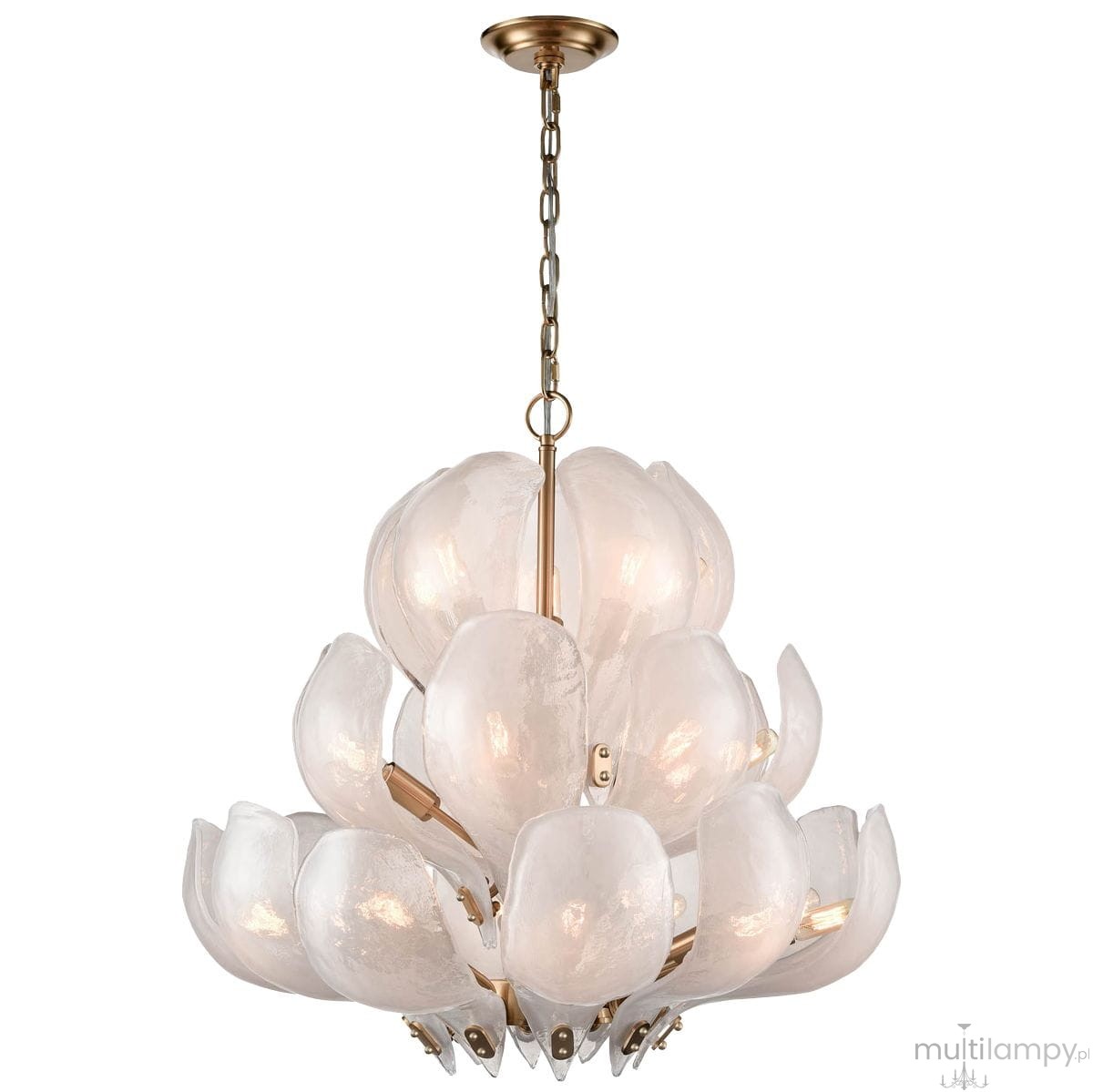 Lampa wisząca Cannes w kolorze mosiądzu z 22 kloszami w kształcie kwiatów, wykonana z transparentnego materiału. Produkt zawieszony na łańcuchu, z widocznymi detalami mocowania, idealna do nowoczesnych wnętrz.