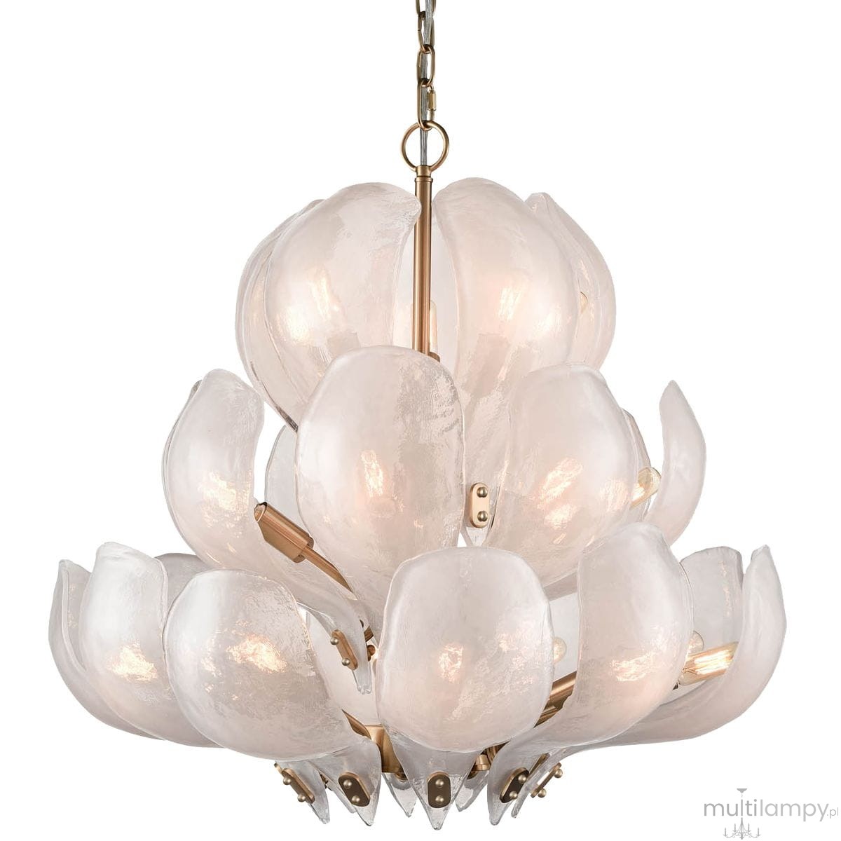 Lampa wisząca Cannes w kolorze mosiądzu z 22 kloszami w kształcie kwiatów, wykonanymi z przezroczystego materiału. Ujęcie z dołu, pokazujące elegancki design i szczegóły mocowania. Idealna do nowoczesnych wnętrz.