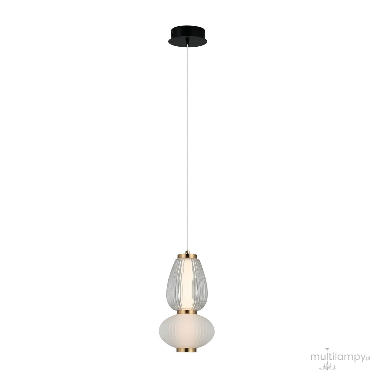 Lampa wisząca Gastel 1xLED/8W w kolorze czarnym z przezroczystym i białym kloszem, zawieszona na cienkim kablu. Klosze mają różne kształty: dolny okrągły, górny owalny, z metalowym wykończeniem. Idealna do nowoczesnych wnętrz.