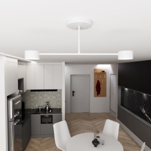 Halo lampa sufitowa 2xGX53 biała 1356/2