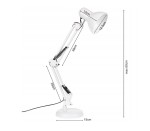 Lampka biurkowa Lena w kolorze białym z metalową podstawą i uchwytem do stołu. Regulowany ramion i klosz o średnicy 12,56 cm. Wysokość maksymalna 60 cm. Długość kabla widoczna w tle. Wymiary podstawy: 15 cm.