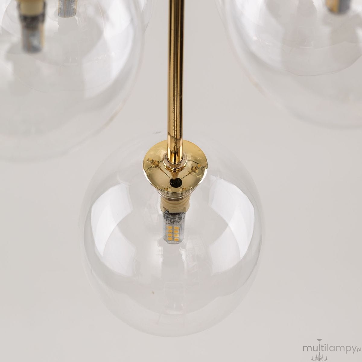 Lampa wisząca Nilos w kolorze czarnym i transparentnym, z pięcioma kulistymi kloszami. Widoczny złoty element mocujący i żarówki LED w szklanych kloszach. Ujęcie z góry, eksponujące detale konstrukcji i przezroczystość kloszy.
