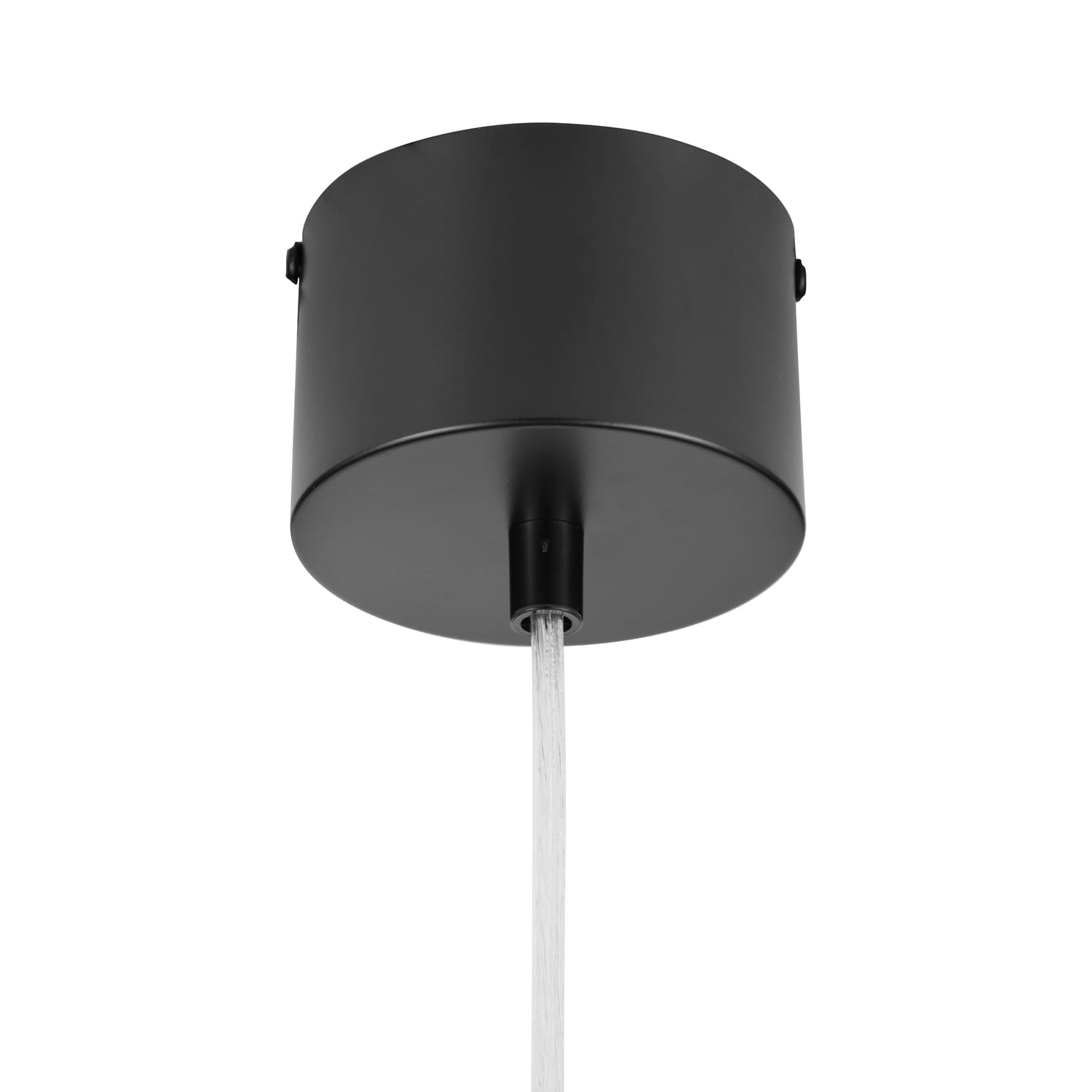 Lampa wisząca Diverso o czarnym matowym wykończeniu z jedną oprawą na żarówkę E27. Ujęcie z dołu, widoczna okrągła podsufitka oraz przezroczysty kabel. Idealna do nowoczesnych wnętrz.