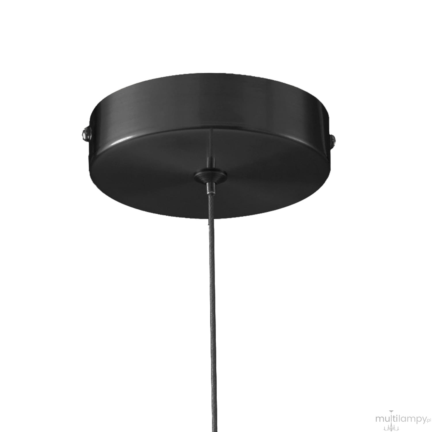 Lampa wisząca Fantasia w kolorze czarnym. Okrągła podsufitka z metalicznym wykończeniem, z centralnym mocowaniem i wiszącym przewodem. Przeznaczona do montażu sufitowego, idealna do nowoczesnych wnętrz.