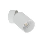Biała lampa sufitowa typu spot z pojedynczym gniazdem GU10, zamontowana na ścianie. Cylindryczny kształt w matowym wykończeniu, skierowana w dół, z widoczną żarówką i reflektorem wewnętrznym. Prosta, nowoczesna konstrukcja.