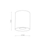 Lampa sufitowa Orion 1xGU10 w kolorze złotym, cylindryczna, z średnicą 110 mm i wysokością 125 mm. Zamontowana w pozycji stojącej, z otworem na żarówkę u góry. Prosta, elegancka forma, bez dodatkowych dekoracji.