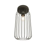 Czarna lampa sufitowa Barn 1BL z metalową, siatkową osłoną, z pojedynczym gniazdem E27. Ujęcie z dołu, ukazujące żarówkę w środku. Prosta konstrukcja, idealna do nowoczesnych wnętrz.