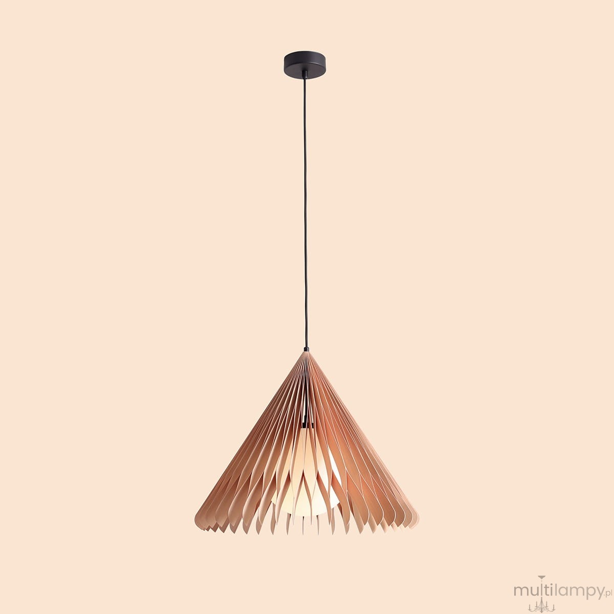 Lampa wisząca Nature Sun D48 w kształcie stożka, wykonana z cienkich, beżowych listew. Utrzymana na czarnym przewodzie, z oprawką na żarówkę E27. Tło w jasnym odcieniu, podkreślające nowoczesny design lampy.