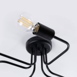 Czarna lampa sufitowa Vector z sześcioma oprawami E27. Widok z góry ukazujący źródło światła w szklanej obudowie. Metalowe ramiona w prostym, nowoczesnym designie, zamontowane na okrągłej podstawie. Idealna do stylowych wnętrz.
