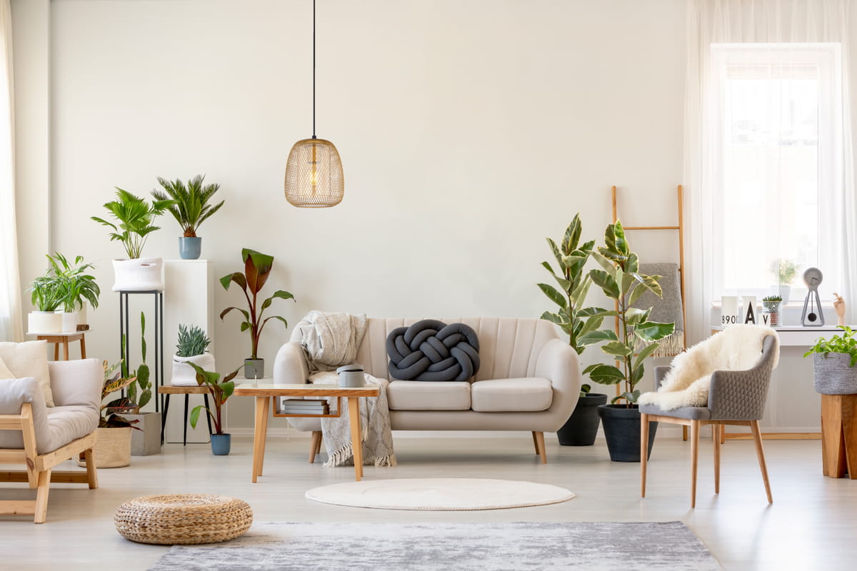 Lampa wisząca Amiria 1xE27 w kolorze czarnym z metalowym, złotym kloszem, zawieszona nad jasną sofą. Otoczenie to nowoczesny salon z roślinami doniczkowymi, drewnianymi meblami i jasnym wystrojem. Kąt ujęcia frontalny, ukazujący aranżację wnętrza.