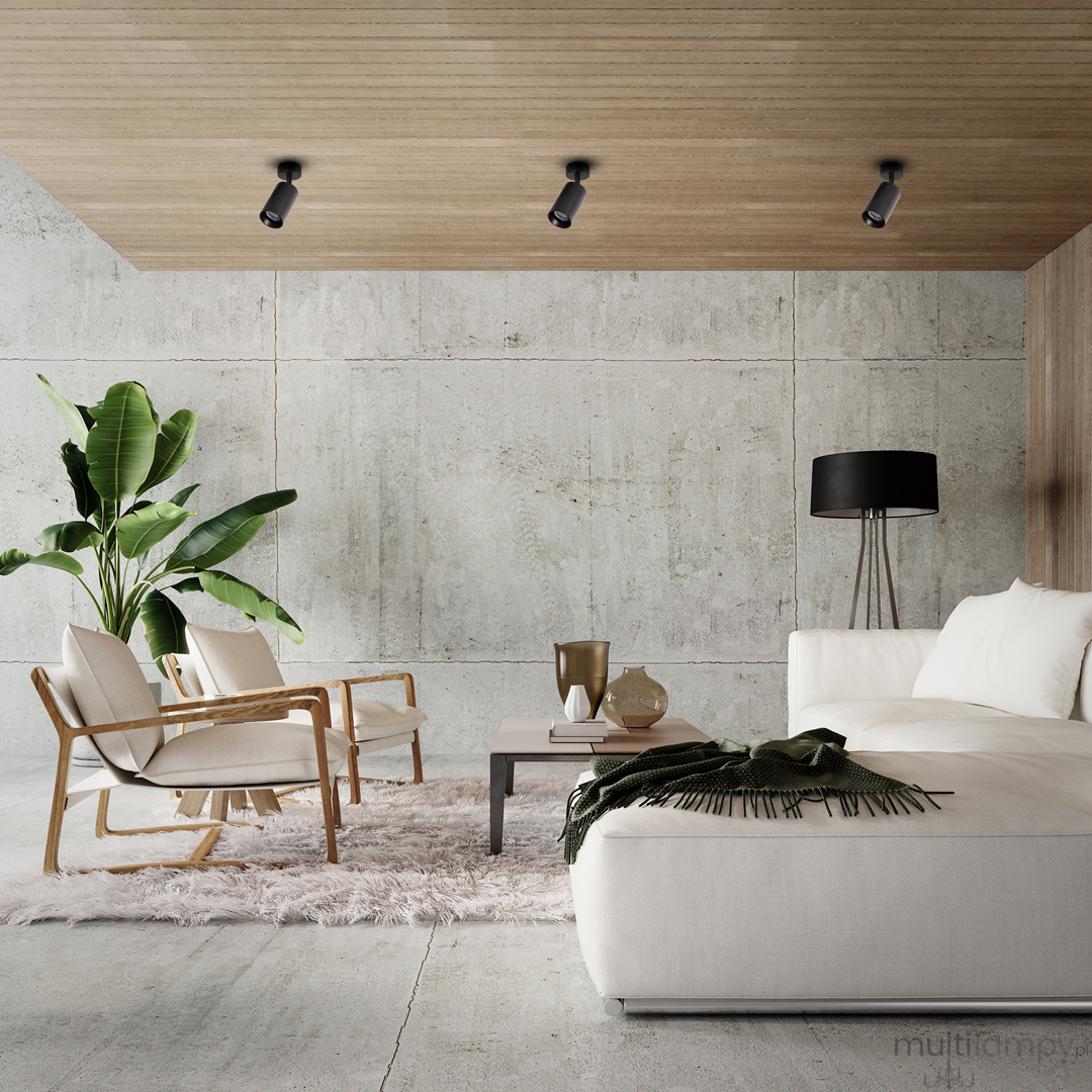 Czarna lampa sufitowa typu spot z jednym gniazdem GU10, zamontowana na drewnianym stropie. W tle nowoczesny salon z jasnymi meblami, rośliną, stolikiem kawowym oraz lampą podłogową. Wnętrze utrzymane w minimalistycznym stylu.