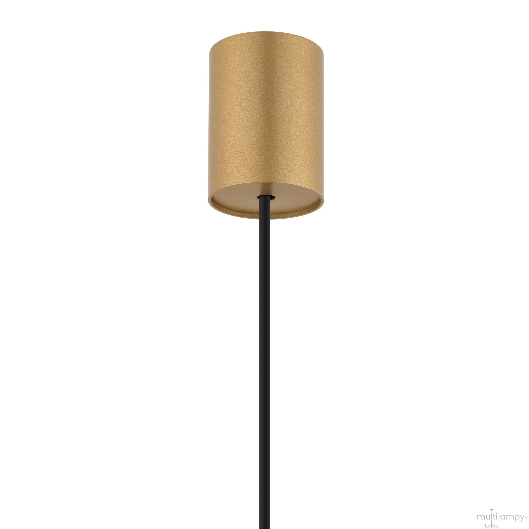 Lampa wisząca Laser 100 z metalowym kloszem w kolorze złotym, zawieszona na czarnym przewodzie. Klosz ma cylindryczny kształt, z gniazdem na żarówkę G9. Prosta konstrukcja, idealna do nowoczesnych wnętrz.