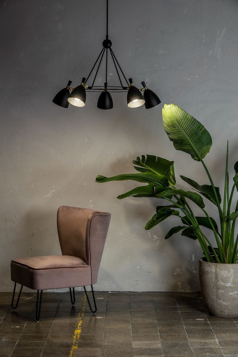 Lampa wisząca Charlotte w kolorze czarnym, z pięcioma kloszami E27, umieszczona nad różową, tapicerowaną sofą w minimalistycznym wnętrzu. W tle widoczna zielona roślina w doniczce. Kąt ujęcia z boku, pokazujący detale lampy i otoczenie.