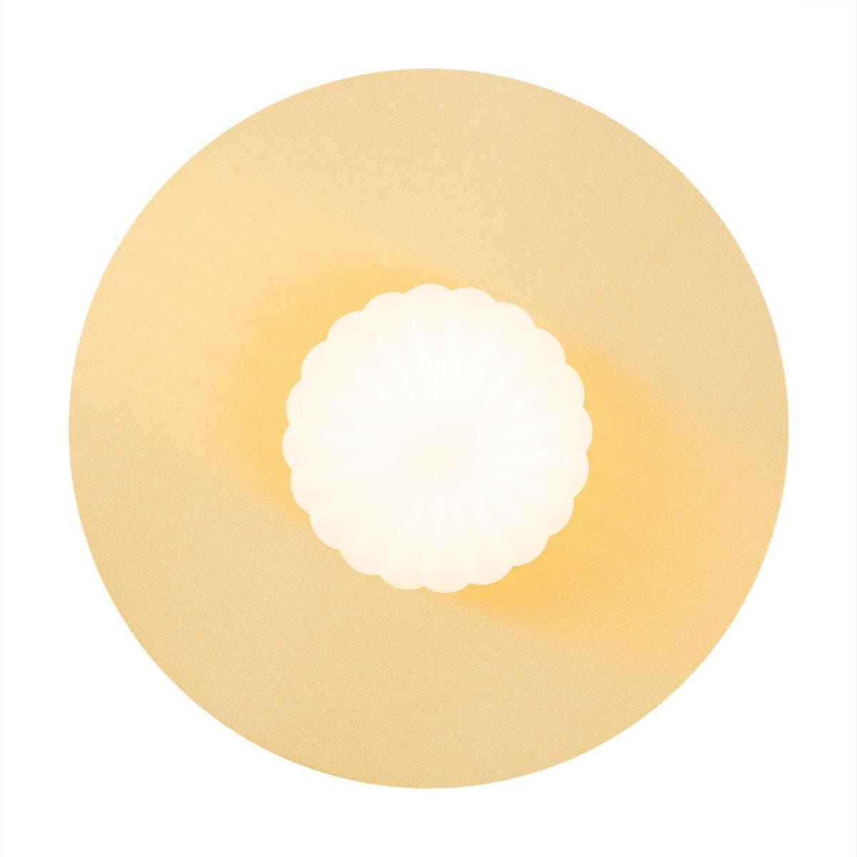 Kinkiet Paloma w kolorze mosiądzu z białym kloszem, z okrągłą, gładką podstawą. Widok z góry, ukazujący delikatny wzór klosza oraz efektowne odbicie na tle. Przeznaczony do żarówki E14.