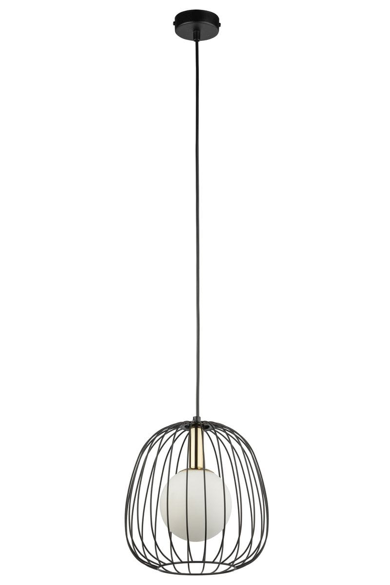 Lampa wisząca Bell D24 z kloszem w czarnej metalowej siatce, z złotym mocowaniem na żarówkę G9 oraz białą kulistą żarówką. Zawieszona na cienkim, czarnym przewodzie, w pozycji wiszącej.