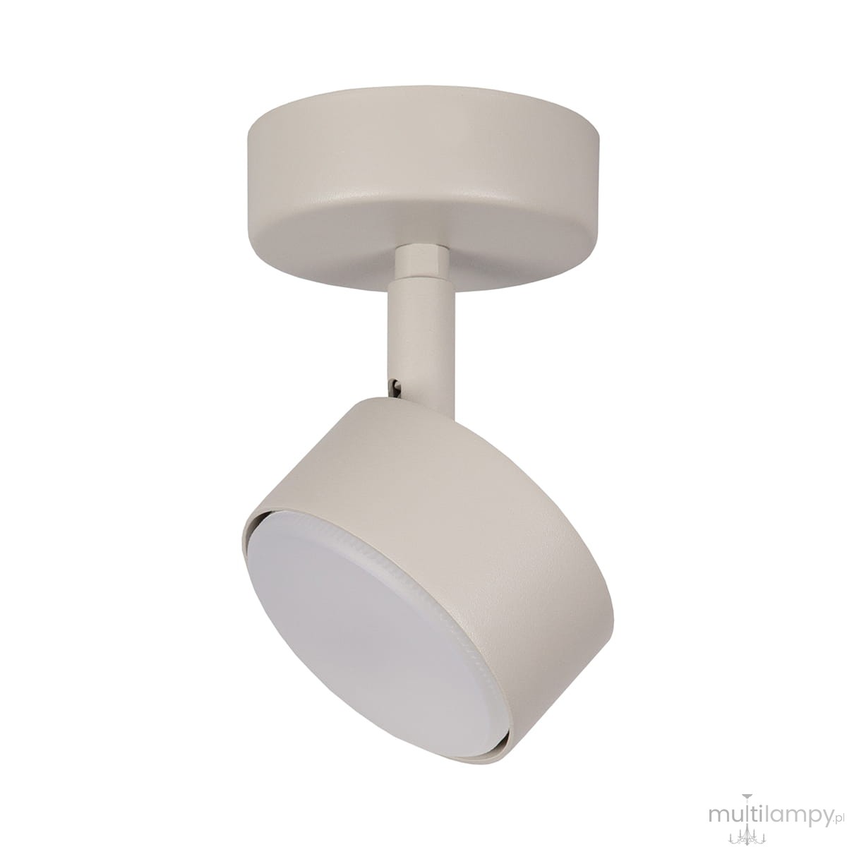 Lampa sufitowa Nemo H15 w kolorze szarym/beżowym, z pojedynczym reflektorem na uchwycie. Kształt cylindryczny, zamontowana na okrągłej podstawie. Reflektor z białym kloszem, obracający się w różnych kierunkach, idealny do oświetlenia wnętrz.