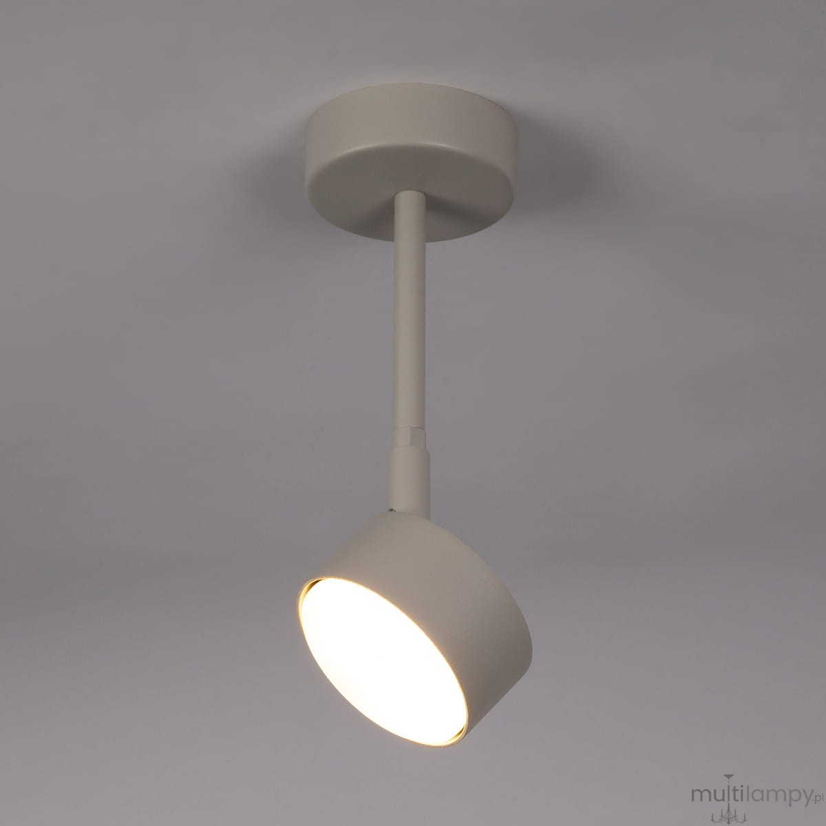 Lampa wisząca Nemo H24 w kolorze szarym/beżowym z jednym źródłem światła typu GX53. Produkt ma minimalistyczny design, z okrągłym kloszem skierowanym w dół, montowany na krótkim, prostym ramieniu. Ujęcie z dołu.