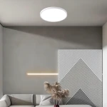 Plafon California D40 w kolorze białym, o okrągłym kształcie, z jedną diodą LED o mocy 36W, zamontowany na suficie. W tle minimalistyczna aranżacja z szarymi ścianami i geometrycznym wzorem na panelu.