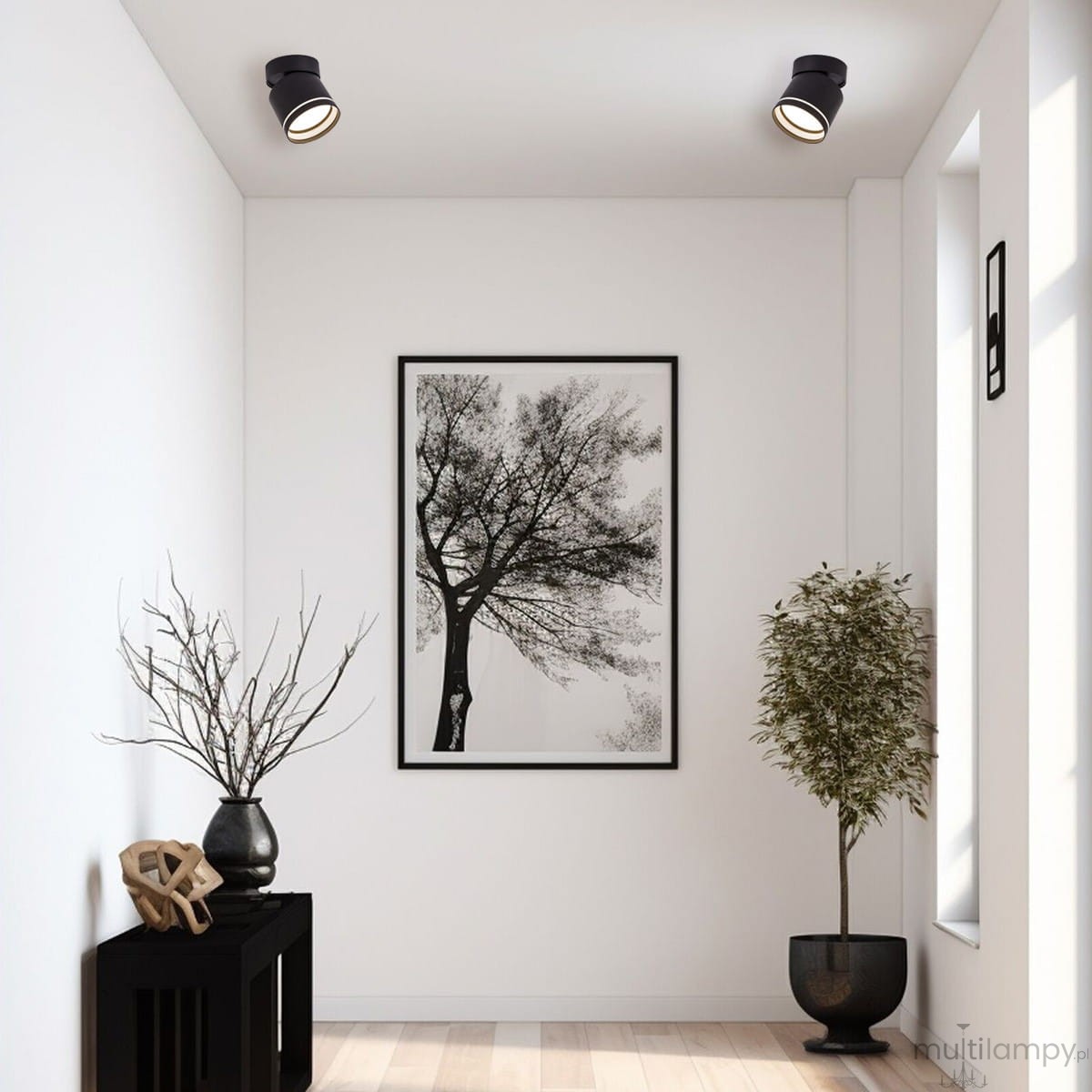 Czarna lampa sufitowa Kendal (spot) z jednym źródłem światła GX53, zamontowana w rogu pomieszczenia. Produkt jest ruchomy, co umożliwia skierowanie światła w wybrane miejsce. W tle widoczna minimalistyczna aranżacja z roślinnością i grafiką.