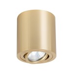 Złota lampa sufitowa Tulon LP-5441/1SM GD, cylindryczny kształt, wykończenie matowe, pojedynczy punkt świetlny z regulowanym kierunkiem światła, montowana na suficie, widoczna żarówka z przezroczystą osłoną.