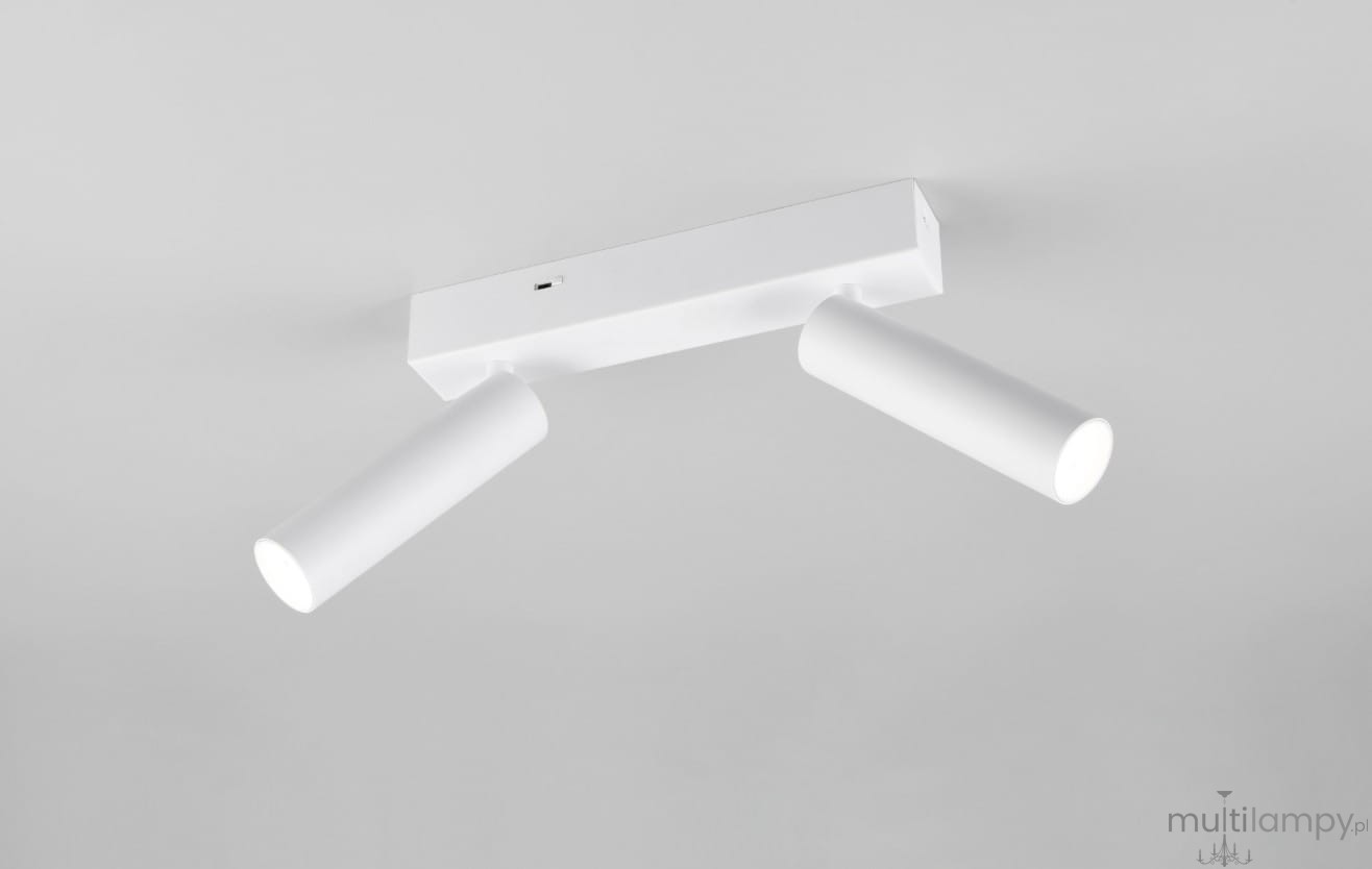 Lampa sufitowa Ambala z dwoma reflektorami LED, biała. Reflektory cylindryczne, umieszczone na prostokątnej podstawie. Kąt ujęcia: z dołu. Idealna do oświetlenia wnętrz. Prosta forma, nowoczesny design.