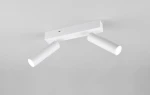 Lampa sufitowa Ambala z dwoma reflektorami LED, biała. Reflektory cylindryczne, umieszczone na prostokątnej podstawie. Kąt ujęcia: z dołu. Idealna do oświetlenia wnętrz. Prosta forma, nowoczesny design.