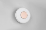 Plafon Celeste 1xLED/10W w kolorze kawowym i białym, okrągły, z białym kloszem i centralnym, metalicznym elementem w kolorze złotym. Zawieszony na gładkiej, szarej ścianie, w pozycji zamontowanej.
