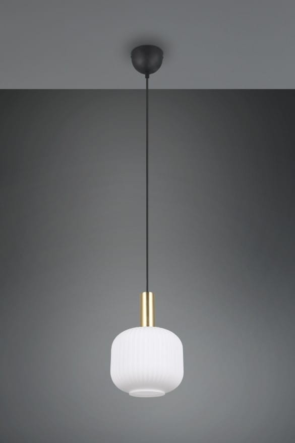 Lampa wisząca Diva z jednym gniazdem E27, w kolorze czarnym i białym. Okrągły, matowy klosz z delikatnym żłobieniem, złoty trzonek, zawieszona na cienkim, czarnym przewodzie. Prosta, nowoczesna forma, idealna do różnych wnętrz.