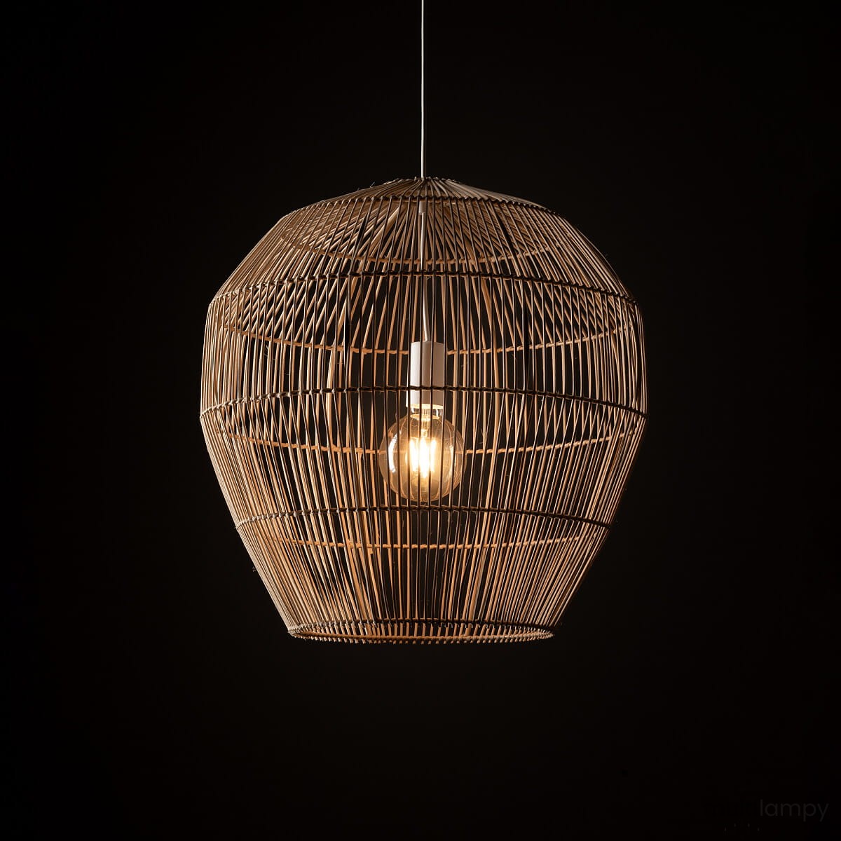 Lampa wisząca Haiti, w naturalnym kolorze, z plecionki z włókien, o kształcie stożka, z widoczną żarówką E27 w środku, zawieszona na cienkim przewodzie, na ciemnym tle.