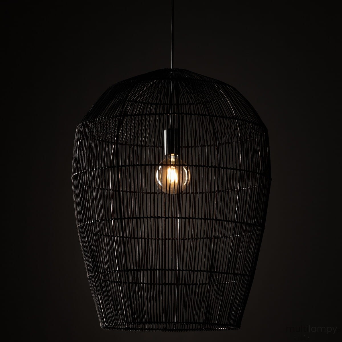 Czarna lampa wisząca Haiti Black L z kloszem z metalowego drutu, kształt przypominający kosz. Wewnątrz widoczna żarówka E27. Zawieszona na cienkim kabelku, umieszczona na ciemnym tle. Idealna do nowoczesnych wnętrz.