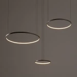 Lampa wisząca Circolo D125 z trzema okrągłymi, metalowymi ramami w kolorze oliwkowym, zawieszonymi na cienkich linkach. Źródło światła LED o mocy 45W i temperaturze barwowej 3000K, emitujące ciepłe światło. Ujęcie frontalne.