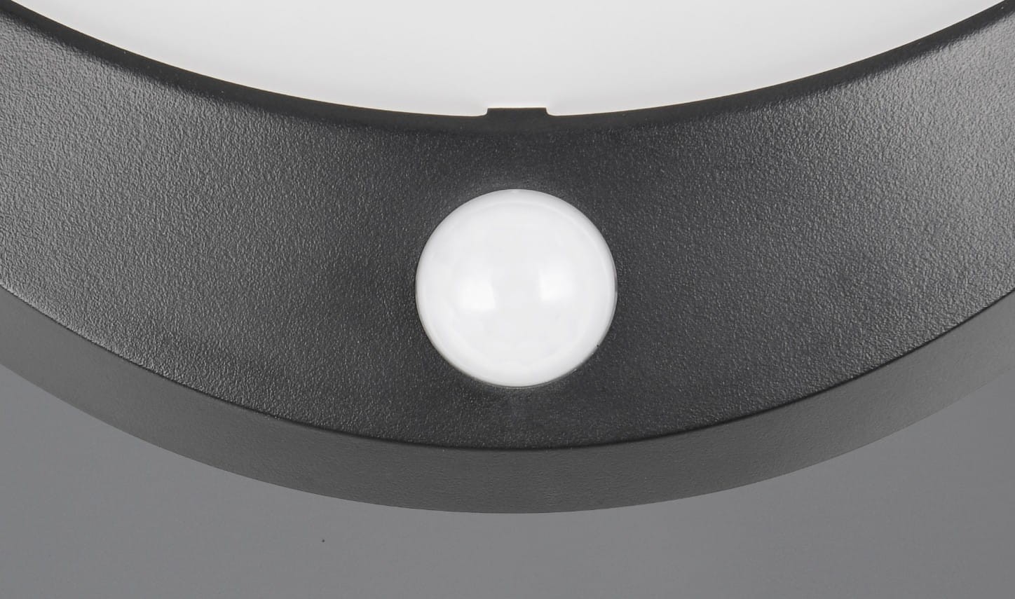 Cobre kinkiet zewnętrzny w kolorze czarnym, z czujnikiem ruchu, 1xLED 8W, IP44. Widok z bliska na okrągłą obudowę i białą soczewkę czujnika. Kinkiet ma matową teksturę i prosty, nowoczesny design, idealny do użytku na zewnątrz.