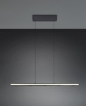 Lampa wisząca Graham z ośmioma diodami LED, moc 41,5W, w kolorze czarnym. Posiada prostokątną, cienką konstrukcję z zawieszeniem na dwóch cienkich linkach. Montaż sufitowy, minimalistyczny design, idealna do nowoczesnych wnętrz.