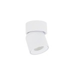 Biała lampa sufitowa typu spot Oscar z pojedynczym gniazdem GU10, o klasie ochrony IP54. Ujęcie z boku, pokazujące obrotową głowicę, która umożliwia kierowanie światła. Prosta, cylindryczna forma z matowym wykończeniem.