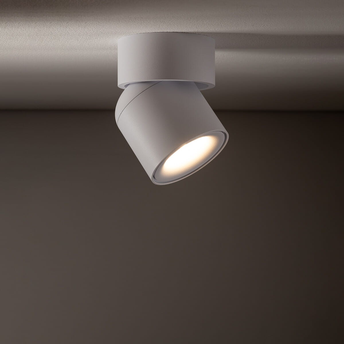 Lampa sufitowa Oscar w kolorze białym, z jednym źródłem światła GU10. Zamocowana na suficie, z możliwością regulacji kąta świecenia. Wysoka klasa ochrony IP54, co zapewnia odporność na wilgoć i pył.