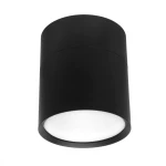 Lampa sufitowa Arto w kolorze czarnym, z okrągłym kloszem. Ujęcie z dołu pokazuje elegancki design i źródło światła GX53. Produkt montowany na suficie, idealny do nowoczesnych wnętrz.