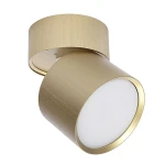 Arto lampa sufitowa (spot) 1xGX53 złota