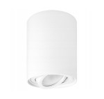 Biała lampa sufitowa w kształcie tuby, o cylindrycznej formie. Ujęcie z boku, pokazujące kierunkową możliwość regulacji światła. Prosta, minimalistyczna konstrukcja, wykonana z materiału o gładkiej fakturze.