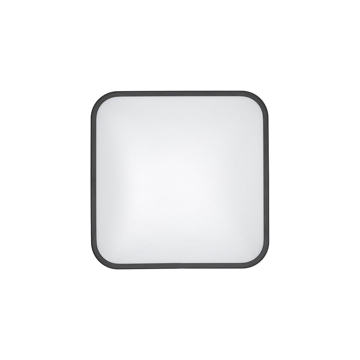 Plafon Agnes Square LED o wymiarach 33,5 cm, w kolorze czarnym, z białym kloszem. Posiada klasę ochrony IP44, moc 16W i temperaturę barwową 3000K. Ujęcie frontalne, produkt w płaskim, zamkniętym układzie.