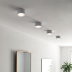 Biała lampa sufitowa tuba Leto z jednym gniazdem GX53, zamontowana na suficie. Widoczne cztery lampy w równych odstępach, emitujące jasne światło. W tle lustro w złotej ramie oraz roślina doniczkowa.
