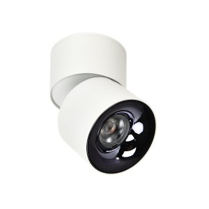 Brema lampa sufitowa (spot) 1xLED/10W/CCT biała LP-2626/1RM WH movable