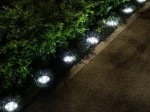 Lampa solarna ogrodowa wbijana, srebrna, zestaw 4 sztuk. Oświetlenie LED rozmieszczone wzdłuż ścieżki, świecące białym światłem. Produkty umieszczone na trawie obok gęstych krzewów, w nocy, na ciemnym tle.