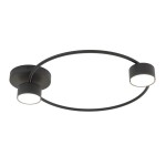 Lampa sufitowa Lucio 2xGX53 w kolorze czarnym. Posiada dwa okrągłe źródła światła umieszczone na cienkim, metalowym ramieniu w kształcie owalu. Montowana do sufitu, z minimalistycznym designem.