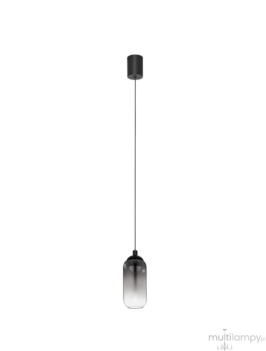 Lampa wisząca Toay w czarnym kolorze, z jednym źródłem LED o mocy 6W. Posiada szklany klosz o kształcie prostokątnym, z delikatnym gradientem od przezroczystego do ciemnoszarego. Zawieszona na cienkim kablu, montowana do sufitu.