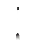 Lampa wisząca Toay w czarnym kolorze, z jednym źródłem LED o mocy 6W. Posiada szklany klosz o kształcie prostokątnym, z delikatnym gradientem od przezroczystego do ciemnoszarego. Zawieszona na cienkim kablu, montowana do sufitu.