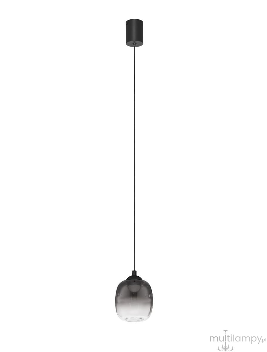 Lampa wisząca Toay z jedną żarówką LED 6W, w kolorze czarnym. Szklany klosz o kulistym kształcie, zawieszony na cienkim, czarnym kablu. Stylowe wykończenie, idealna do nowoczesnych wnętrz. Ujęcie frontalne, na białym tle.