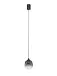 Lampa wisząca Toay z jedną żarówką LED 6W, w kolorze czarnym. Szklany klosz o kulistym kształcie, zawieszony na cienkim, czarnym kablu. Stylowe wykończenie, idealna do nowoczesnych wnętrz. Ujęcie frontalne, na białym tle.