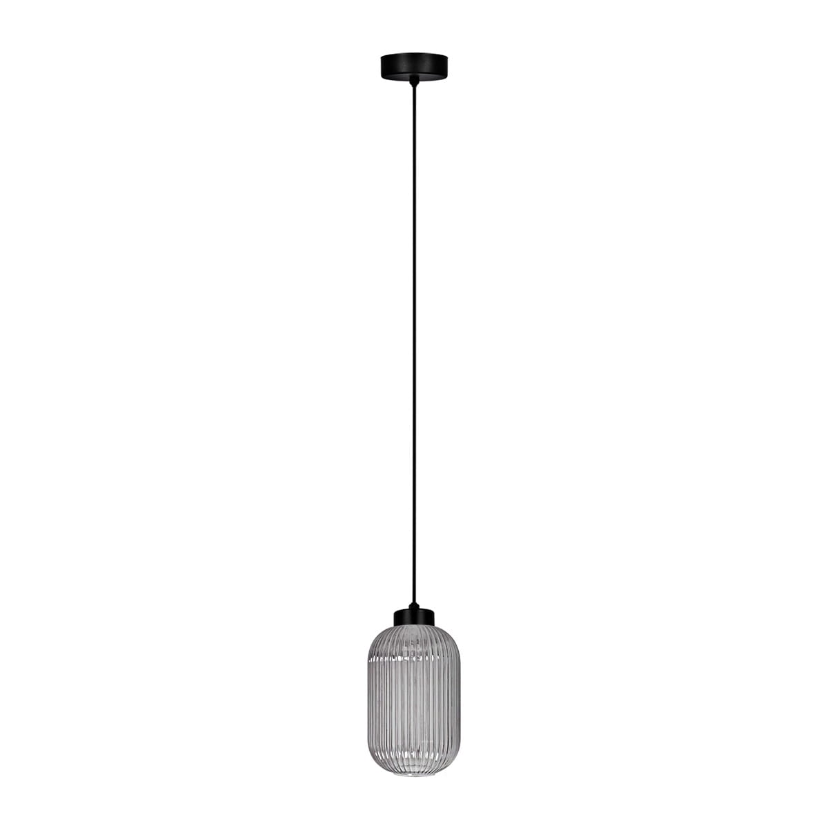Lampa wisząca Silva D14 w kolorze czarnym i grafitowym z jedną oprawą E27. Posiada przezroczystą, żeberkowaną klosz w kształcie owalnym, zawieszona na cienkim, czarnym przewodzie. Montowana do sufitu, w prostym, minimalistycznym stylu.